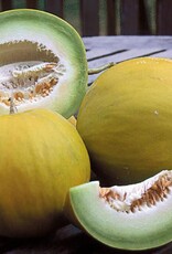 Seed Savers Exchange Seed Savers - Melon, Boule d’Or- Pack of 200 Seeds