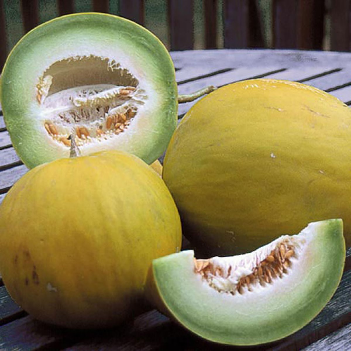 Seed Savers Exchange Seed Savers - Melon, Boule d’Or- Pack of 200 Seeds