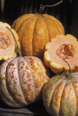 Seed Savers Exchange Seed Savers - Melon, Delice de la Table (organic)- Pack of 75 Seeds