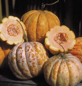 Seed Savers Exchange Seed Savers - Melon, Delice de la Table (organic)- Pack of 75 Seeds