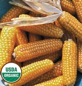 Seed Savers Exchange Seed Savers - Corn, Tom Thumb Popcorn (organic)- Pack of 50 Seeds