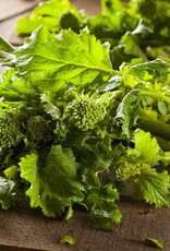 Seed Savers Exchange Seed Savers - Broccoli Raab, Spring Rapini (organic)- Pack of 100 Seeds
