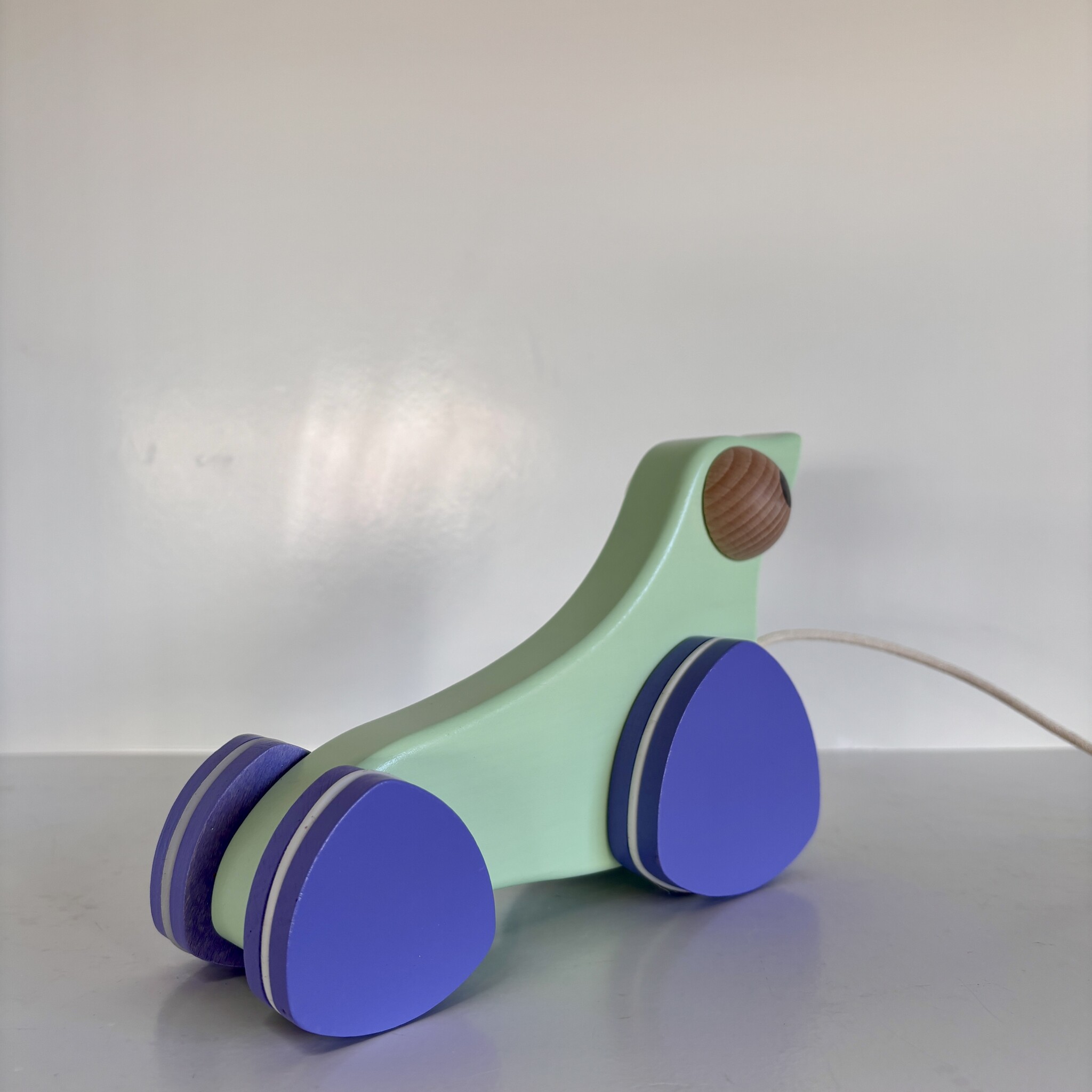 Bajo Sea Lion Galapagos