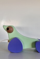 Bajo Sea Lion Galapagos