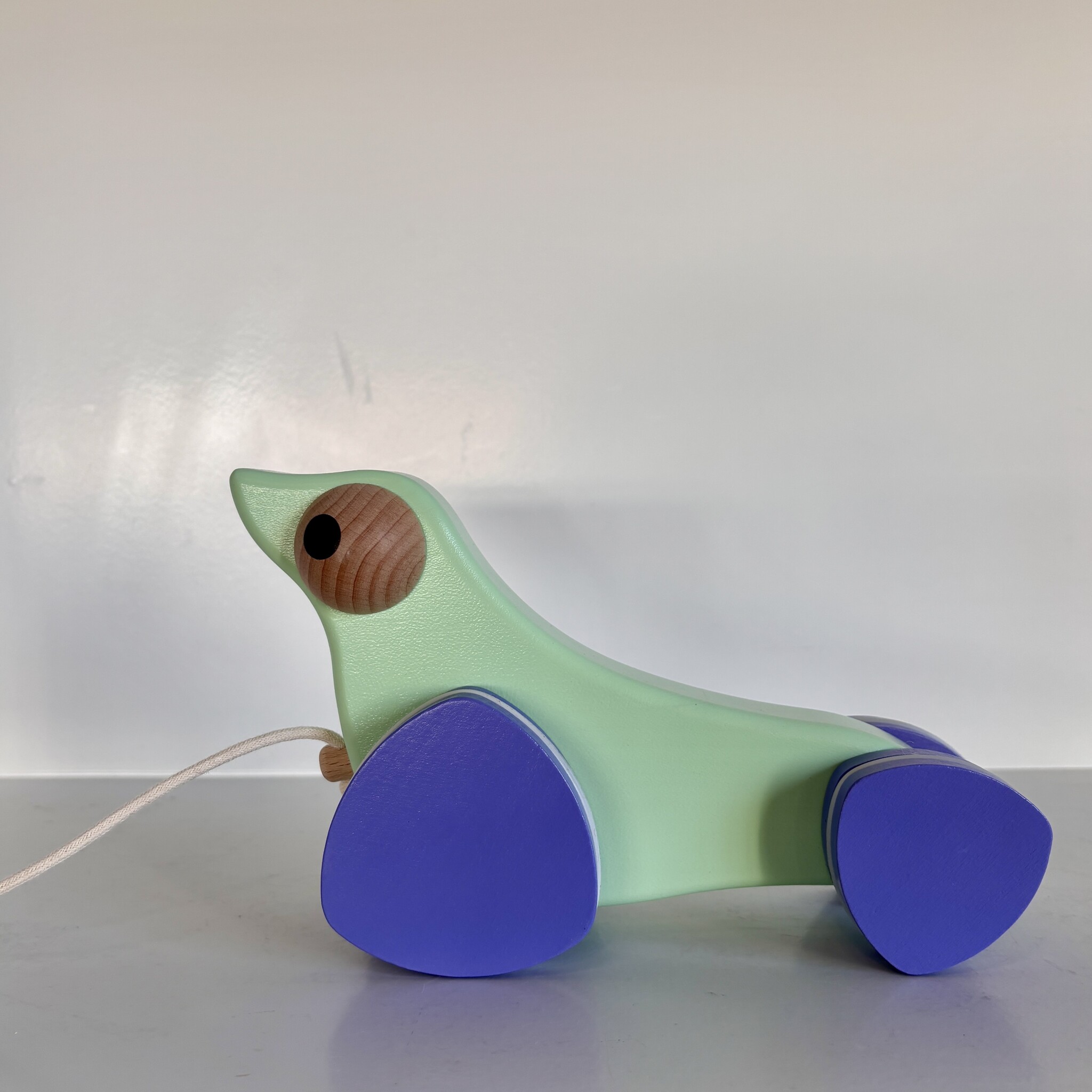 Bajo Sea Lion Galapagos