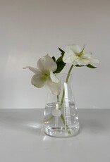 Hario Conical Glass Beaker Vase - 100ml