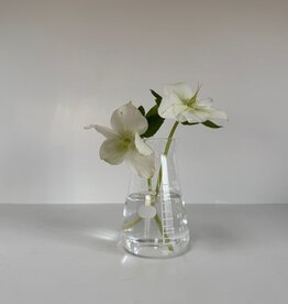 Hario Conical Glass Beaker Vase - 100ml