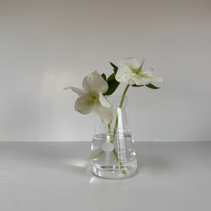 Hario Conical Glass Beaker Pitcher or Vase - 100ml
