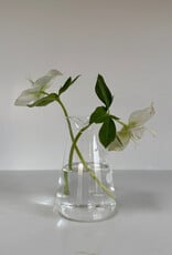 Hario Conical Glass Beaker Pitcher or Vase - 100ml