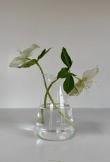 Hario Conical Glass Beaker Vase - 100ml