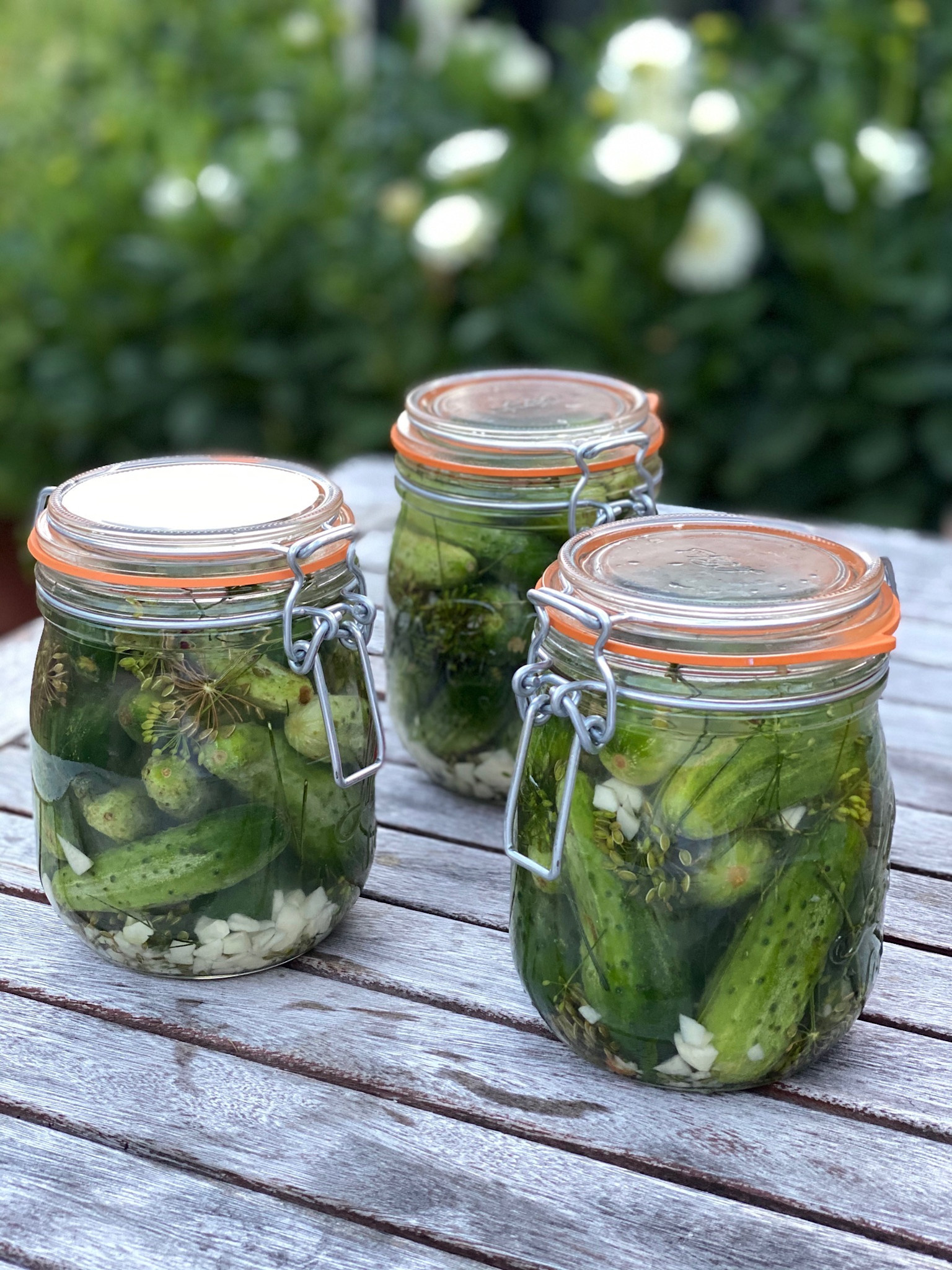 2026 Foundry + Two Pony CSA - Bountiful Farm + Foundry Subscription : May-Oct