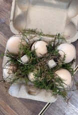 2026 Foundry + Two Pony CSA - Bountiful Farm + Foundry Subscription : May-Oct