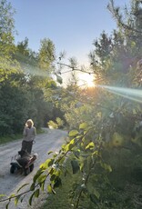 2026 Foundry + Two Pony CSA - Bountiful Farm + Foundry Subscription : May-Oct