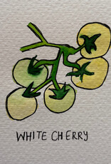 Two Pony Gardens 'White Cherry' Heirloom Tomato Plant - LOCAL PICKUP ONLY