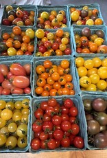 Two Pony Gardens 'White Cherry' Heirloom Tomato Plant - LOCAL PICKUP ONLY