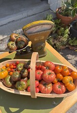 Two Pony Gardens 'White Cherry' Heirloom Tomato Plant - LOCAL PICKUP ONLY