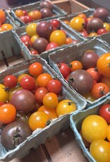 Two Pony Gardens 'White Cherry' Heirloom Tomato Plant - LOCAL PICKUP ONLY