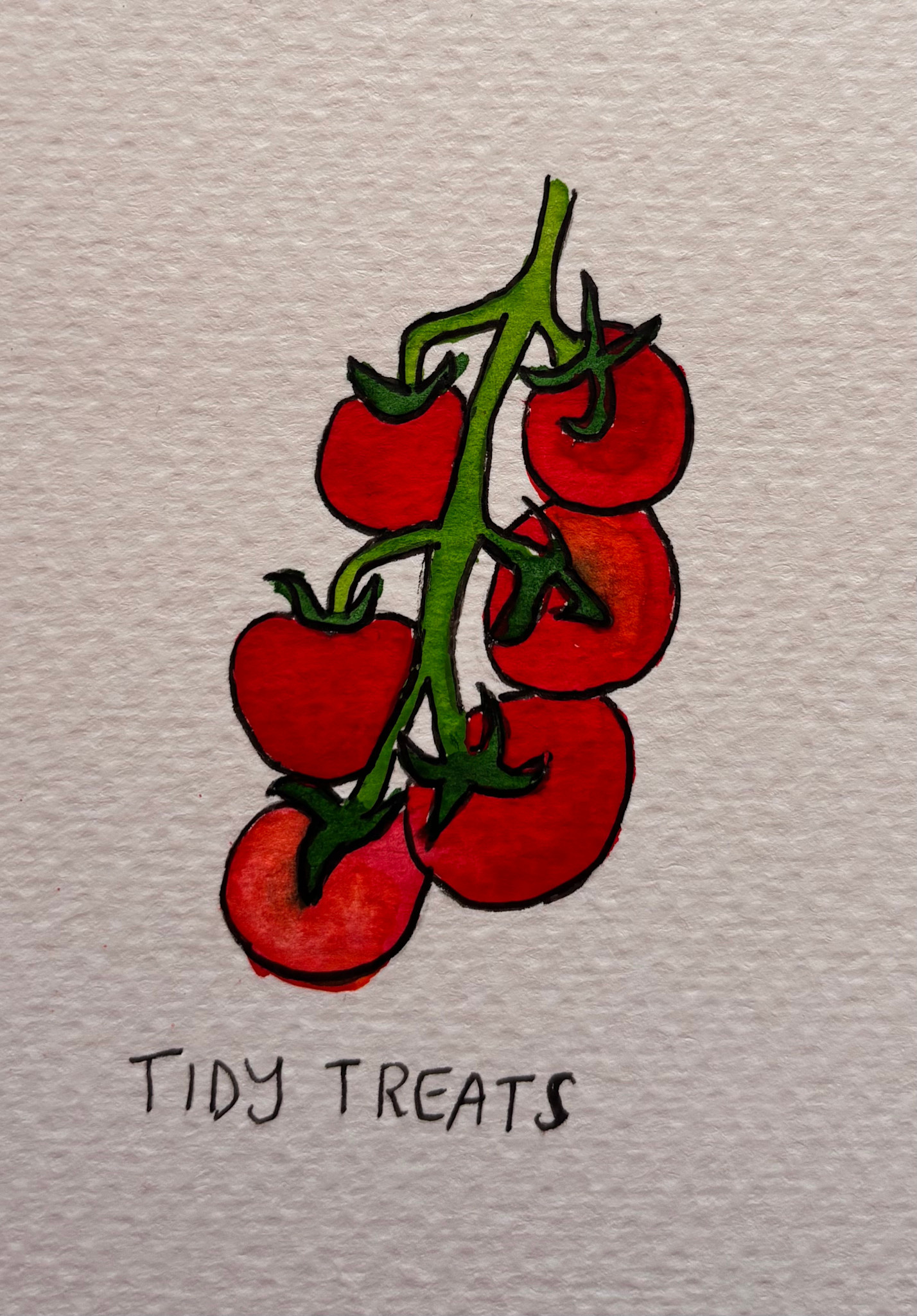 Two Pony Gardens 'Tidy Treats' Heirloom Tomato Plant