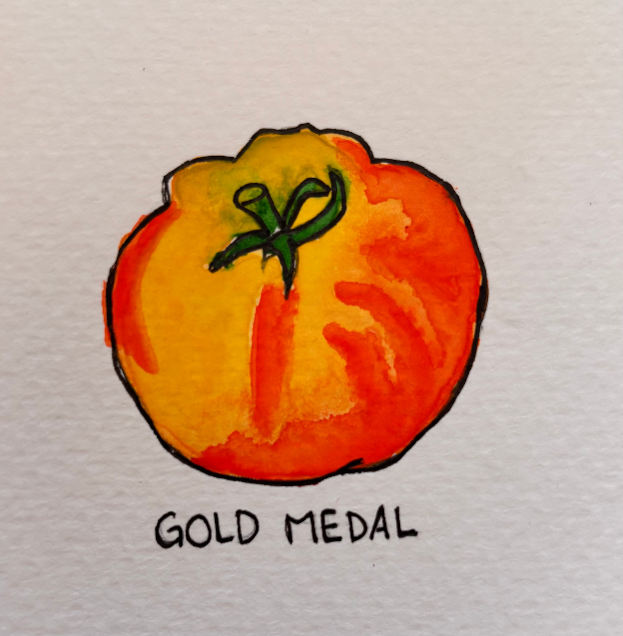 Two Pony Gardens 'Gold Medal' Heirloom Tomato Plant