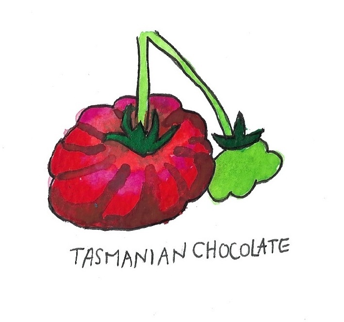 Two Pony Gardens 'Tasmanian Chocolate' Heirloom Tomato Plant- LOCAL PICKUP ONLY