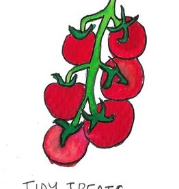 Two Pony Gardens 'Tidy Treats' Heirloom Tomato Plant - LOCAL PICKUP ONLY