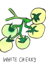 Two Pony Gardens 'White Cherry' Heirloom Tomato Plant - LOCAL PICKUP ONLY
