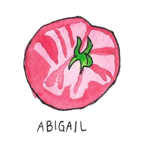 Two Pony Gardens 'Abigail' Hybrid Tomato Plant