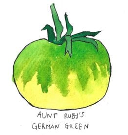 Two Pony Gardens 'Aunt Ruby’s German Green' Heirloom Tomato Plant - LOCAL PICKUP ONLY
