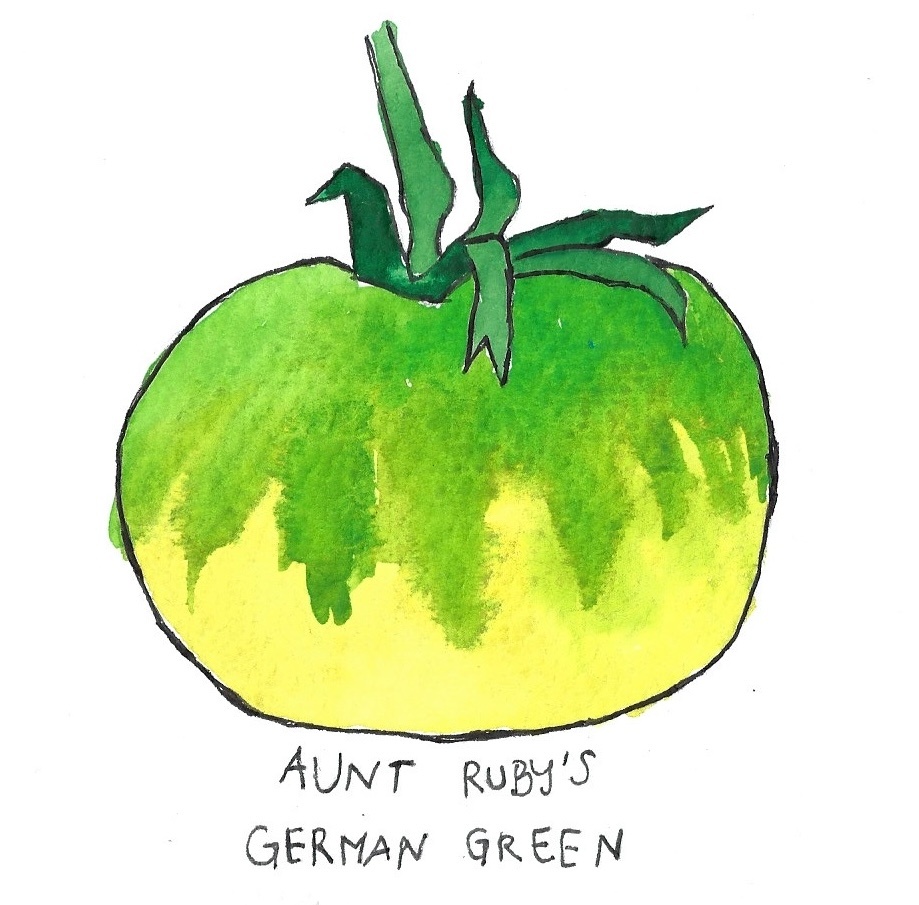 Two Pony Gardens 'Aunt Ruby’s German Green' Heirloom Tomato Plant