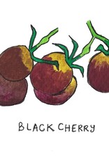 Two Pony Gardens 'Black Cherry' Heirloom Tomato Plant