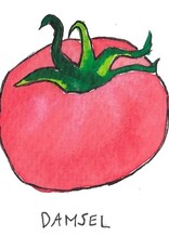 Two Pony Gardens 'Damsel' Hybrid Tomato Plant