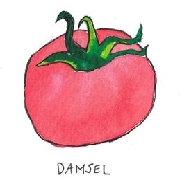 Two Pony Gardens 'Damsel' Hybrid Tomato Plant - LOCAL PICKUP ONLY