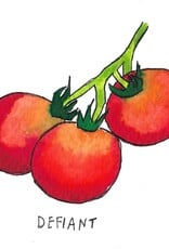 Two Pony Gardens 'Defiant' Hybrid Tomato Plant