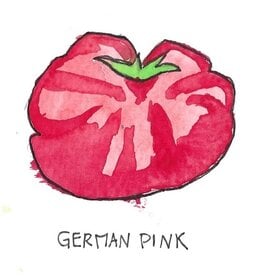 Two Pony Gardens 'German Pink' Heirloom Tomato Plant - LOCAL PICKUP ONLY