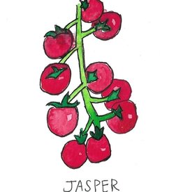 Two Pony Gardens 'Jasper' Hybrid Tomato Plant - LOCAL PICKUP ONLY