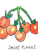 Two Pony Gardens 'Jaune Flamme' Heirloom Tomato Plant