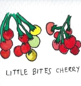 Two Pony Gardens 'Little Bites Cherry' Hybrid Tomato Plant - LOCAL PICKUP ONLY