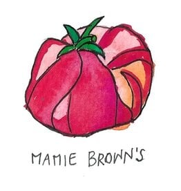 Two Pony Gardens 'Mamie Brown's' Heirloom Tomato Plant - LOCAL PICKUP ONLY