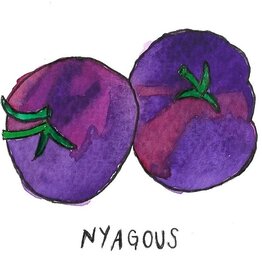 Two Pony Gardens 'Nyagous' Heirloom Tomato Plant - LOCAL PICKUP ONLY