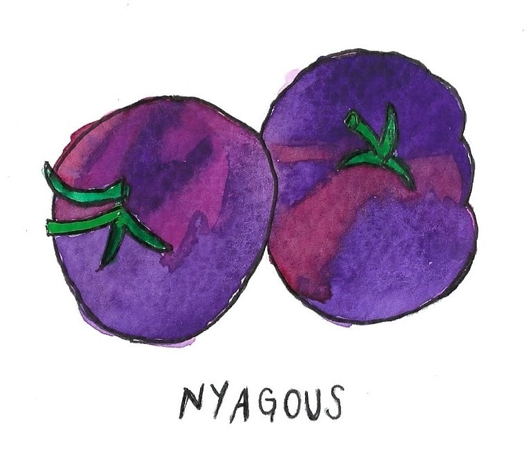 Two Pony Gardens 'Nyagous' Heirloom Tomato Plant