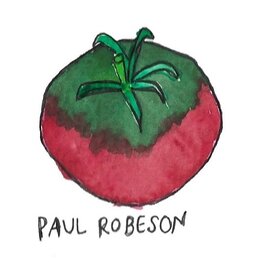 Two Pony Gardens 'Paul Robeson' Heirloom Tomato Plant - LOCAL PICKUP ONLY