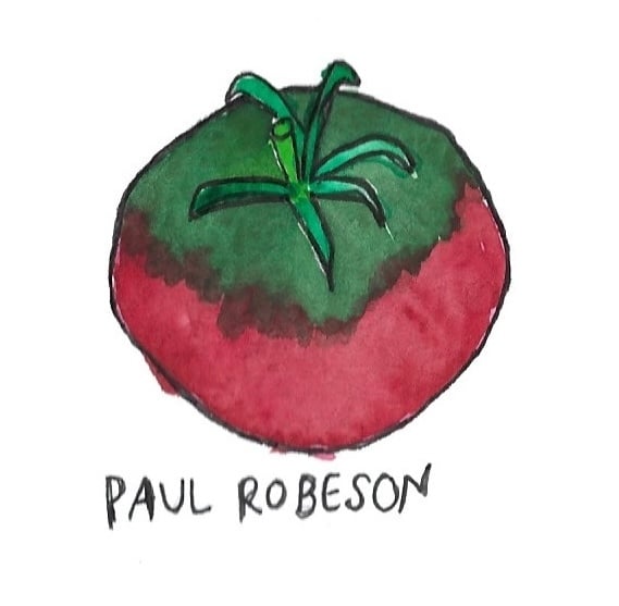 Two Pony Gardens 'Paul Robeson' Heirloom Tomato Plant