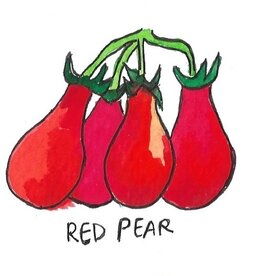 Two Pony Gardens 'Red Pear' Heirloom Tomato Plant - LOCAL PICKUP ONLY
