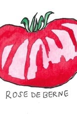 Two Pony Gardens 'Rose De Berne' Heirloom Tomato Plant