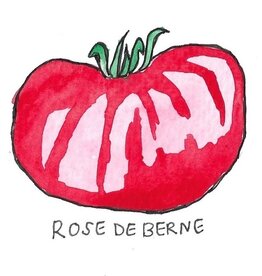 Two Pony Gardens 'Rose De Berne' Heirloom Tomato Plant - LOCAL PICKUP ONLY