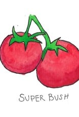 Two Pony Gardens 'Super Bush' Hybrid Tomato Plant