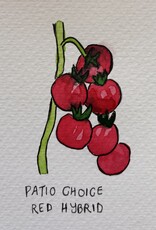 Two Pony Gardens 'Patio Choice' Hybrid Tomato Hanging Basket- LOCAL PICKUP ONLY