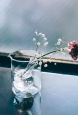 Hario Straight Sided Glass Beaker Vase - 500ml