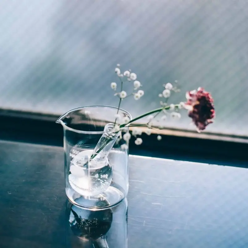 Hario Straight Sided Glass Beaker Vase - 500ml