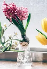 Hario Conical Glass Beaker Pitcher or Vase - 200ml